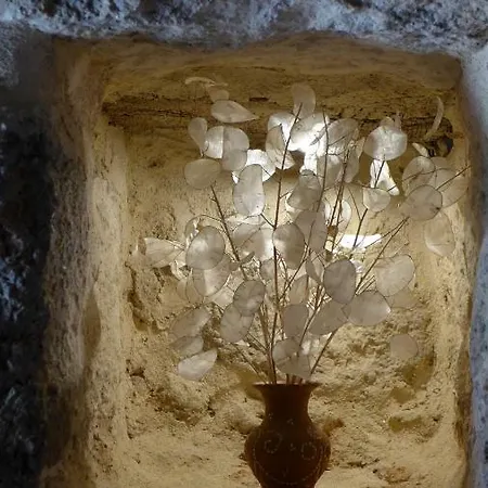 Casas Da Villa- مونسانتو